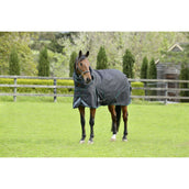 Weatherbeeta Manta de Invierno Comfitec Plus Dynamic II Detach-A-Neck Medium Grey/Dark Green/White