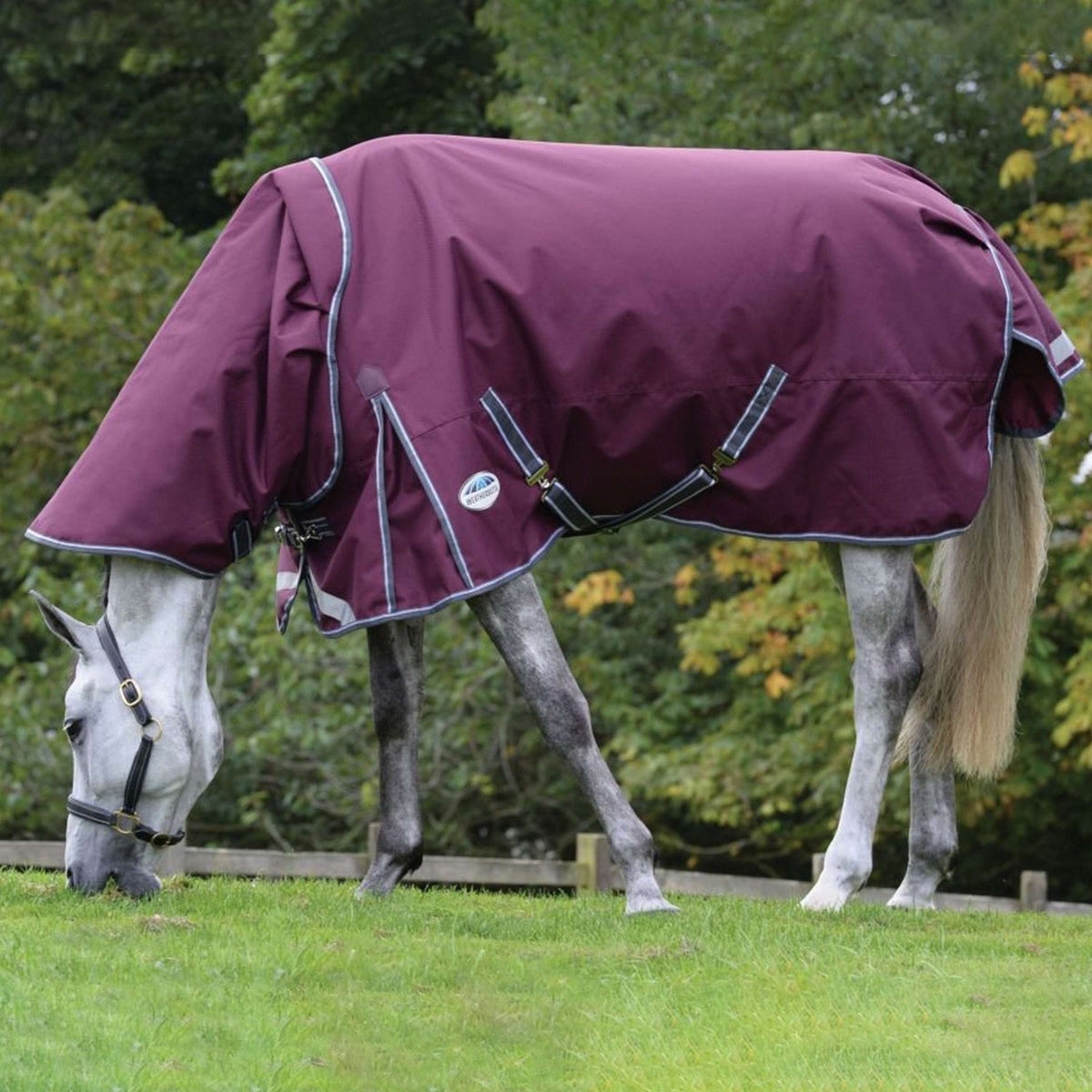 WeatherBeeta ComFiTec Plus Dynamic II Detach-A-Neck Heavy Granate/Gris/Blanco