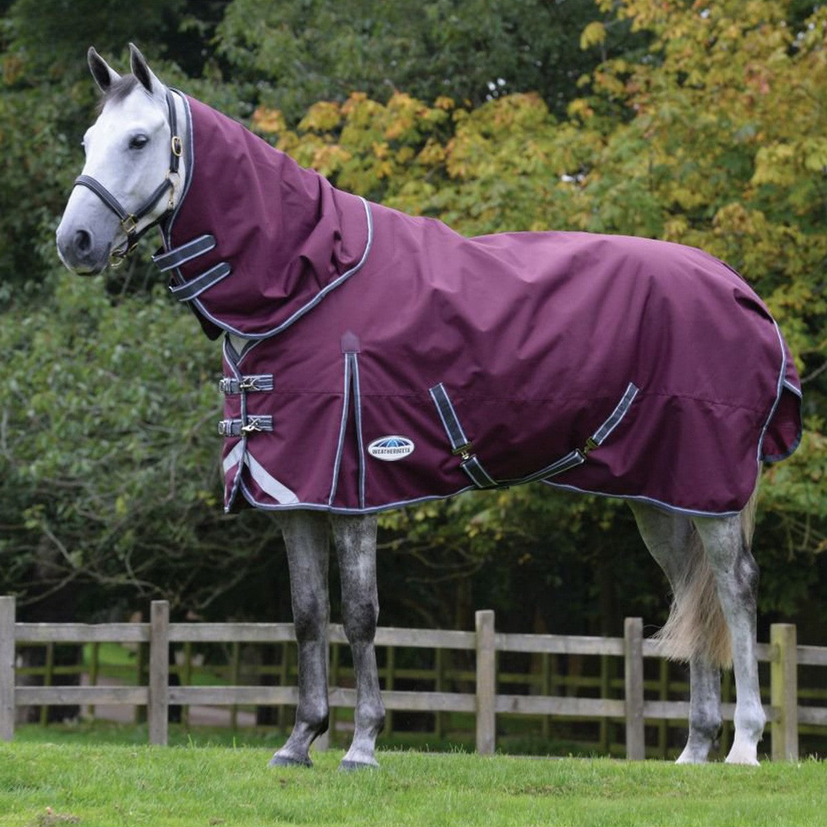 WeatherBeeta ComFiTec Plus Dynamic II Detach-A-Neck Heavy Granate/Gris/Blanco