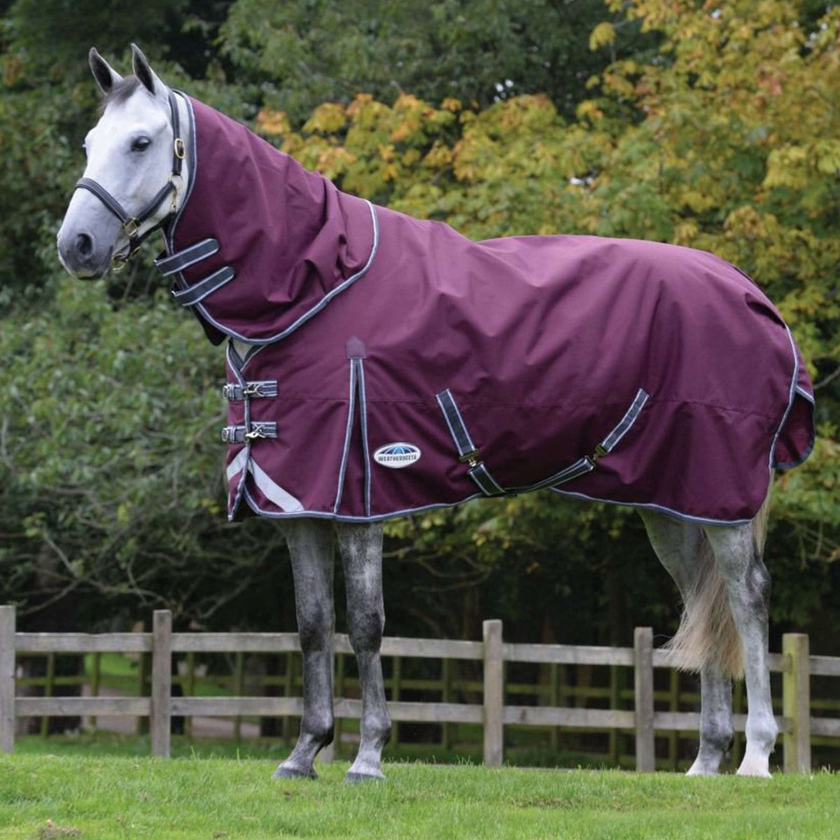 WeatherBeeta ComFiTec Plus Dynamic II Detach-A-Neck Heavy Granate/Gris/Blanco