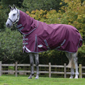 WeatherBeeta ComFiTec Plus Dynamic II Detach-A-Neck Heavy Granate/Gris/Blanco