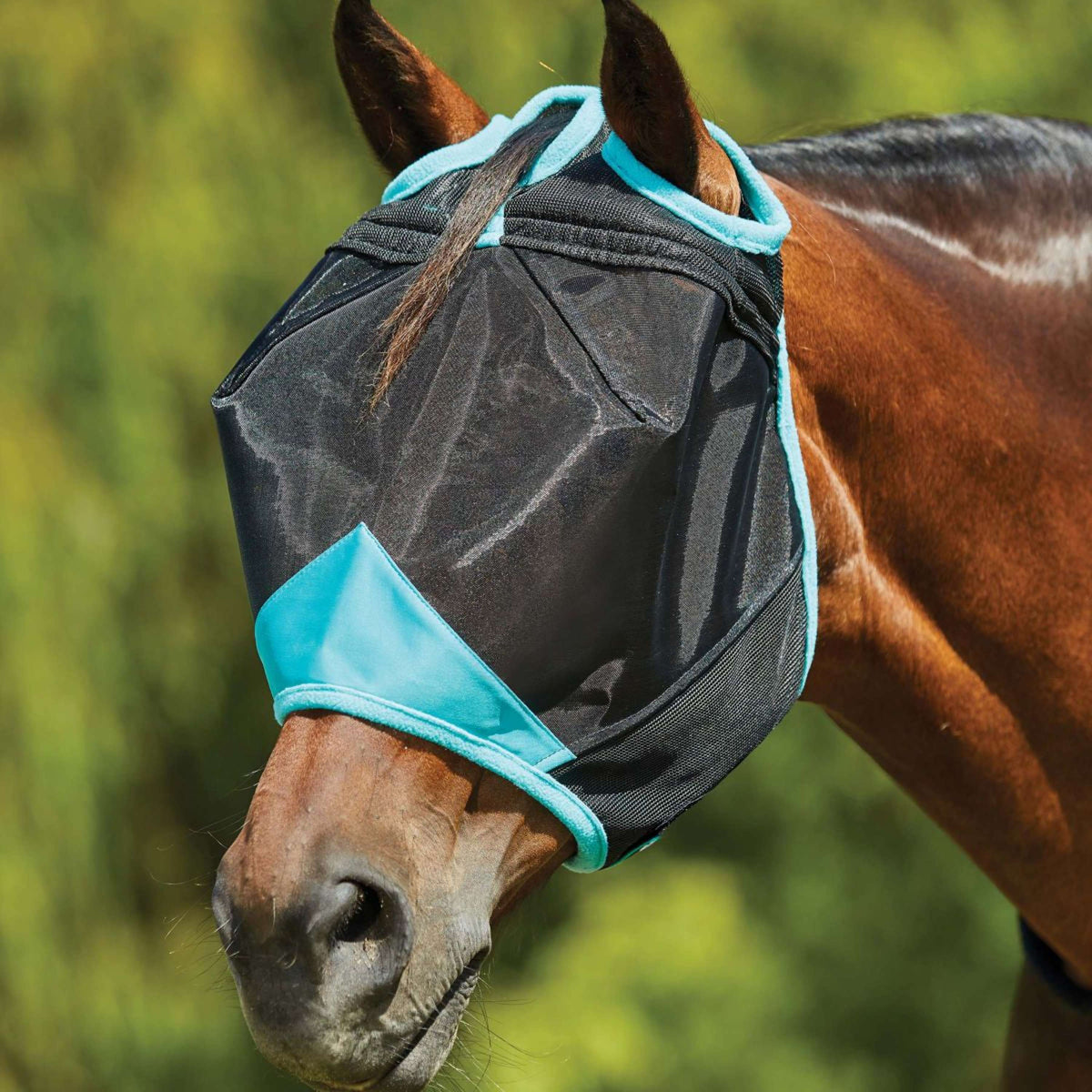 Weatherbeeta Máscara para Moscas Comfitec Deluxe Fine Mesh Negro/Turquesa