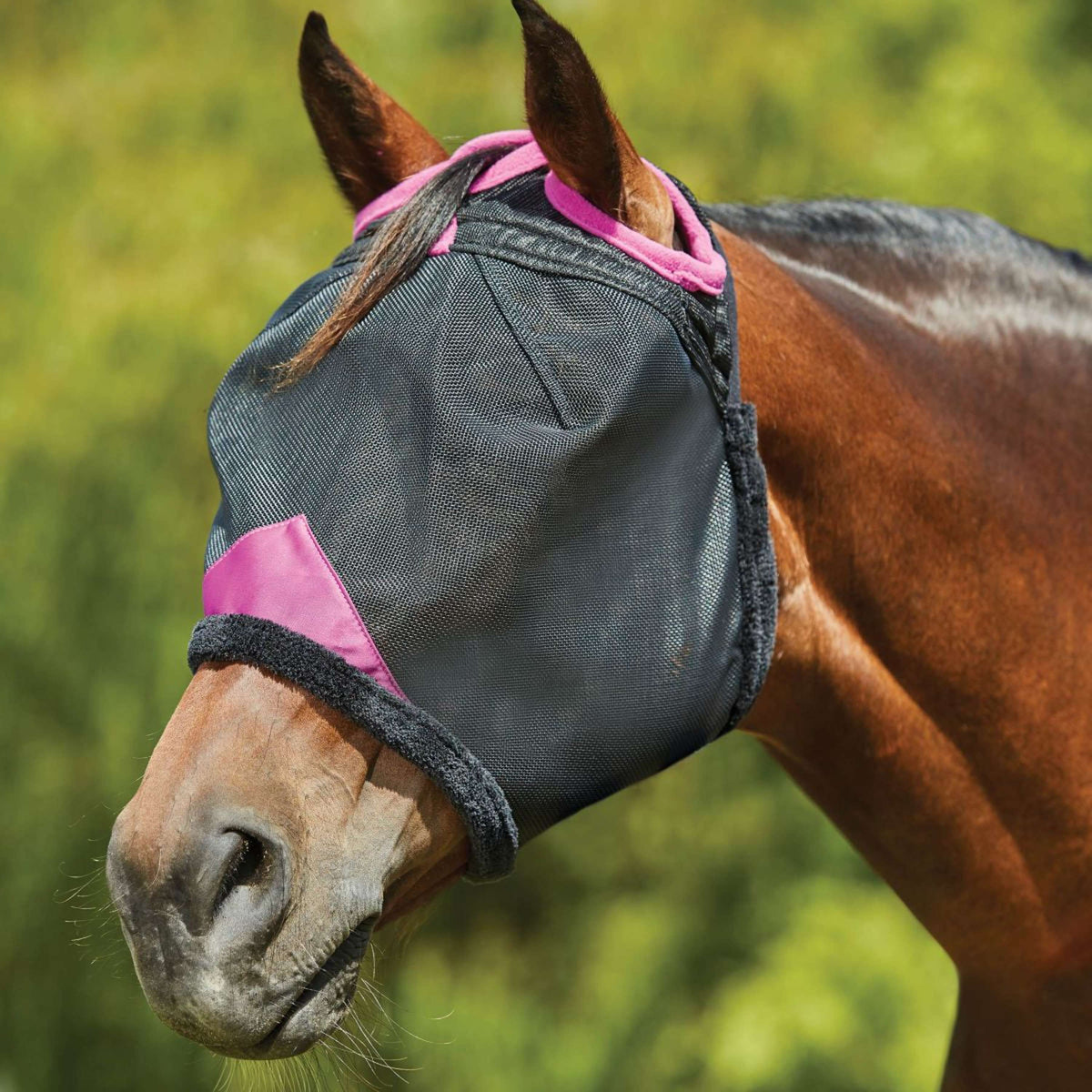 Weatherbeeta Máscara para Moscas Comfitec Deluxe Durable Mesh Negro Morado