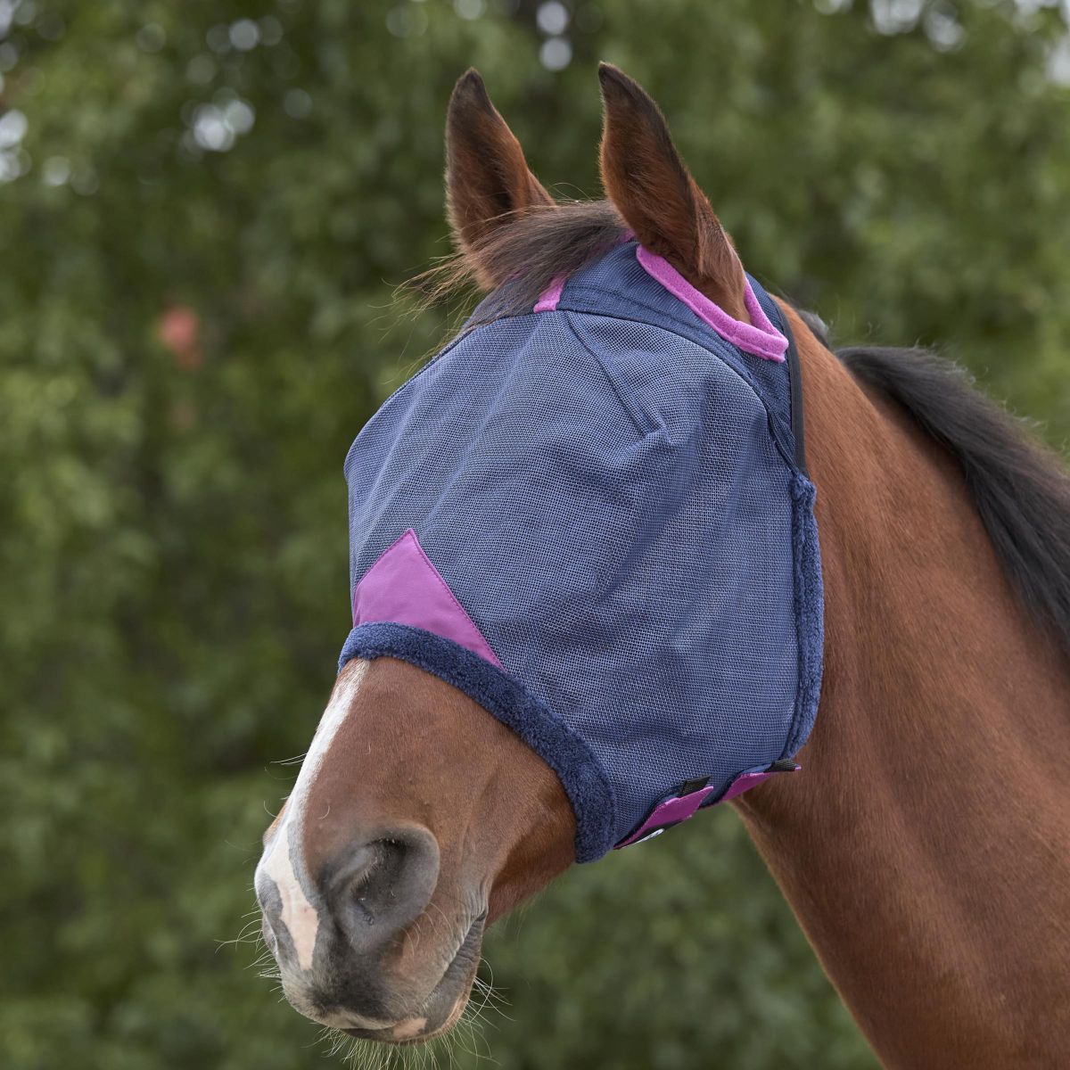 Weatherbeeta Máscara para Moscas Comfitec Deluxe Durable Mesh Navy/morado