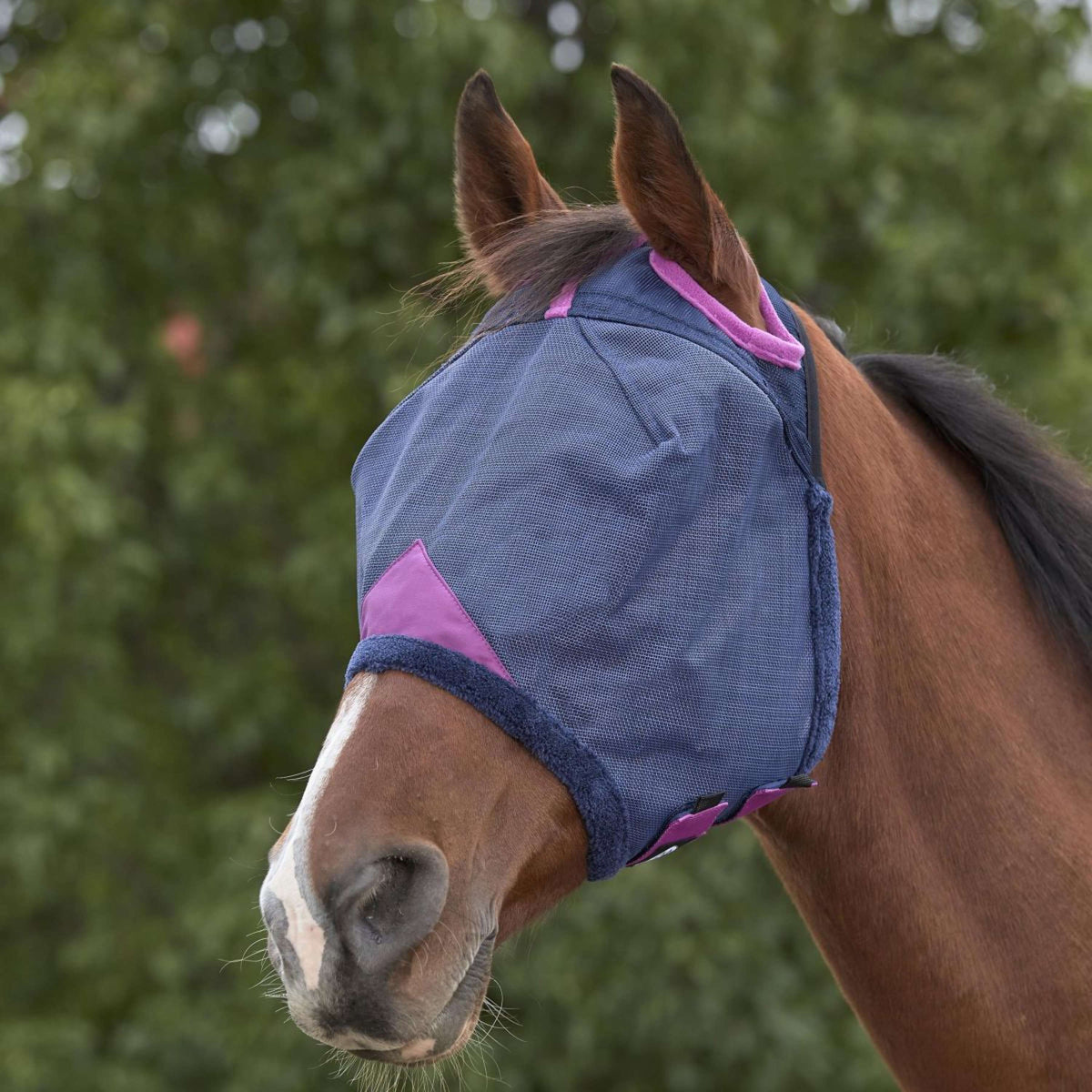 Weatherbeeta Máscara para Moscas Comfitec Deluxe Durable Mesh Navy/morado