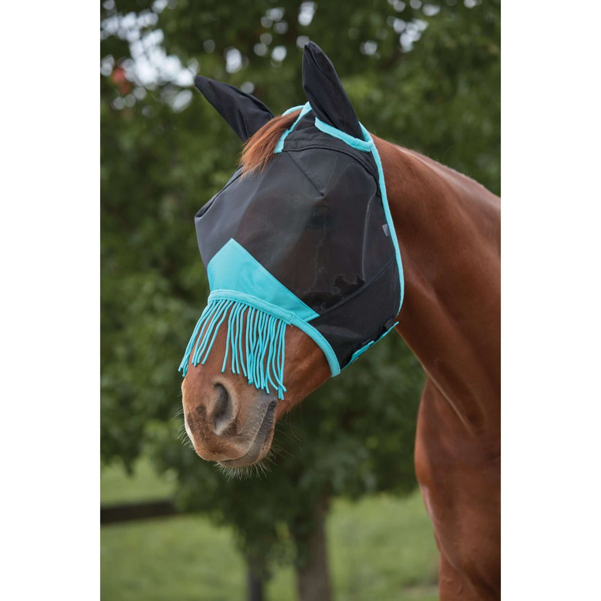 Weatherbeeta Máscara para Moscas Comfitec Deluxe Fine Mesh con Orejas y Flecos Negro/Turquesa