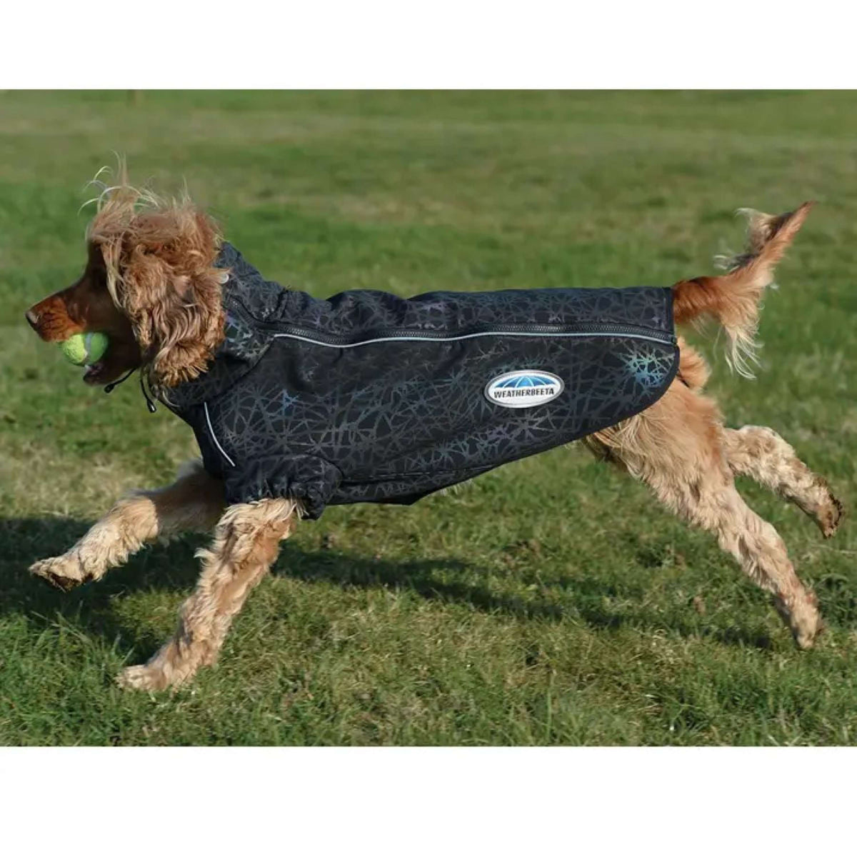 WeatherBeeta Abrigo para Perro ComFiTec Reflective Print Active Negro/Rainbow