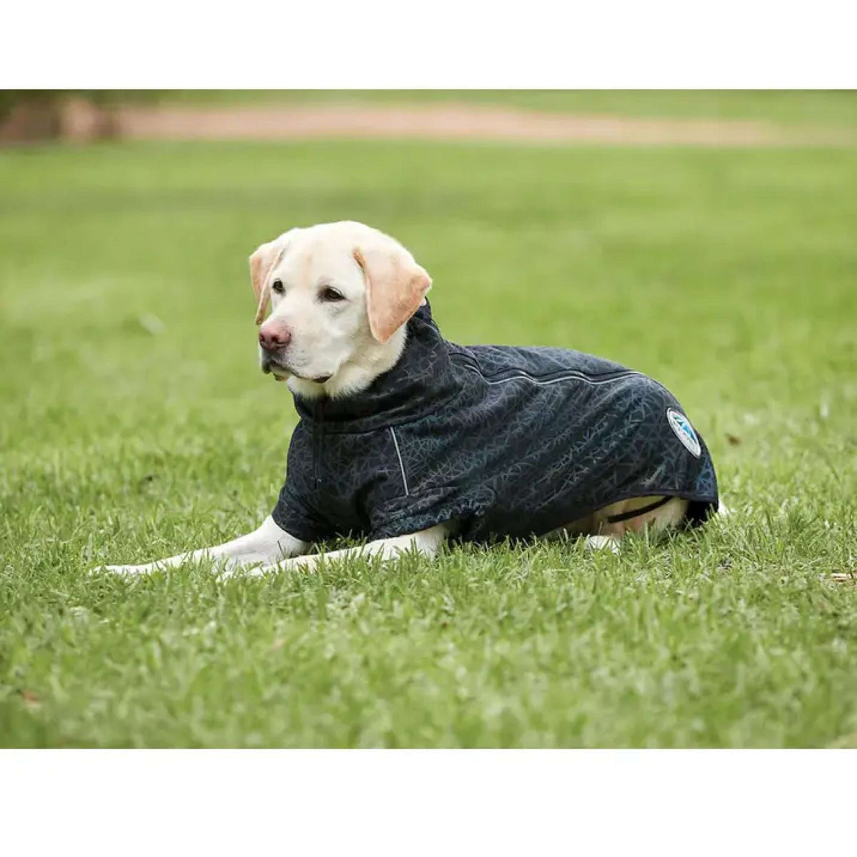 WeatherBeeta Abrigo para Perro ComFiTec Reflective Print Active Negro/Rainbow