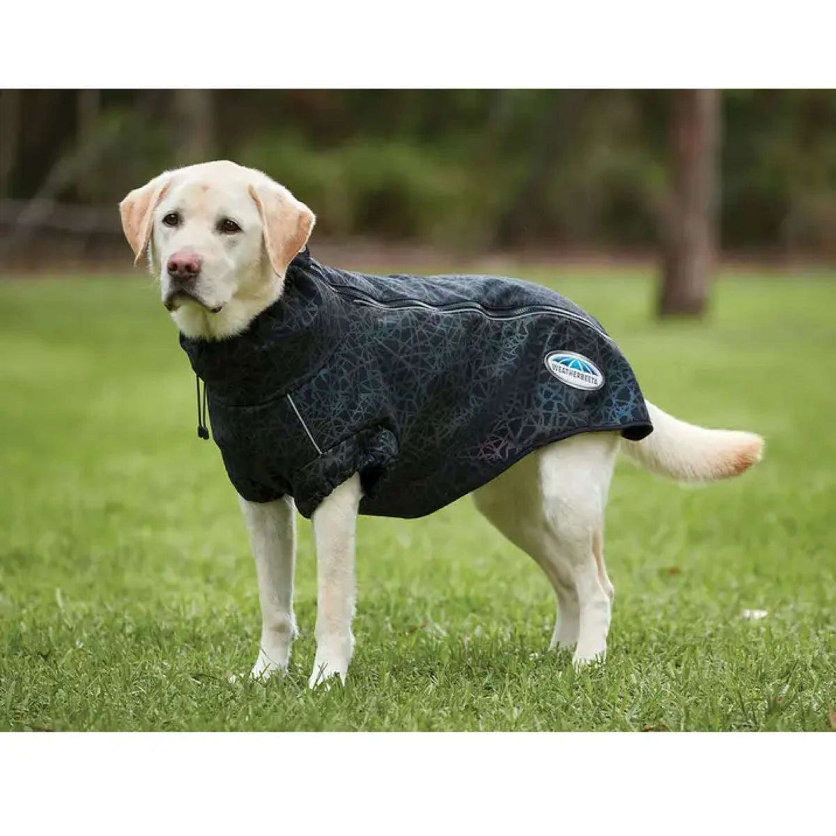 WeatherBeeta Abrigo para Perro ComFiTec Reflective Print Active Negro/Rainbow