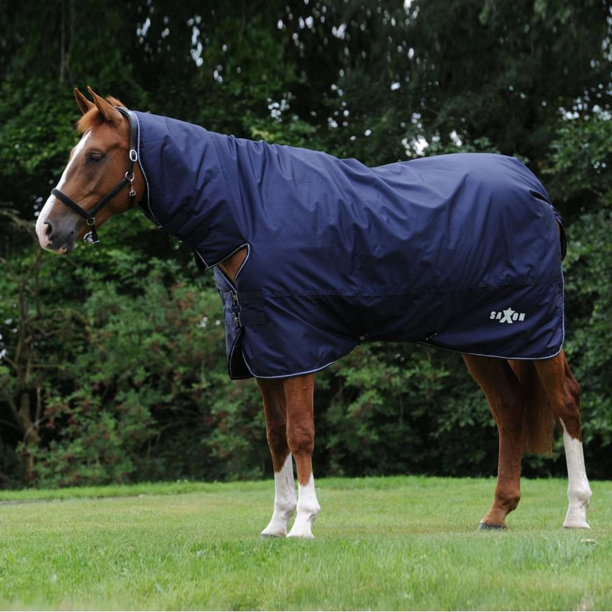 Saxon Alfombra Defiant 600D Combo Neck Heavy Marino/Blanco