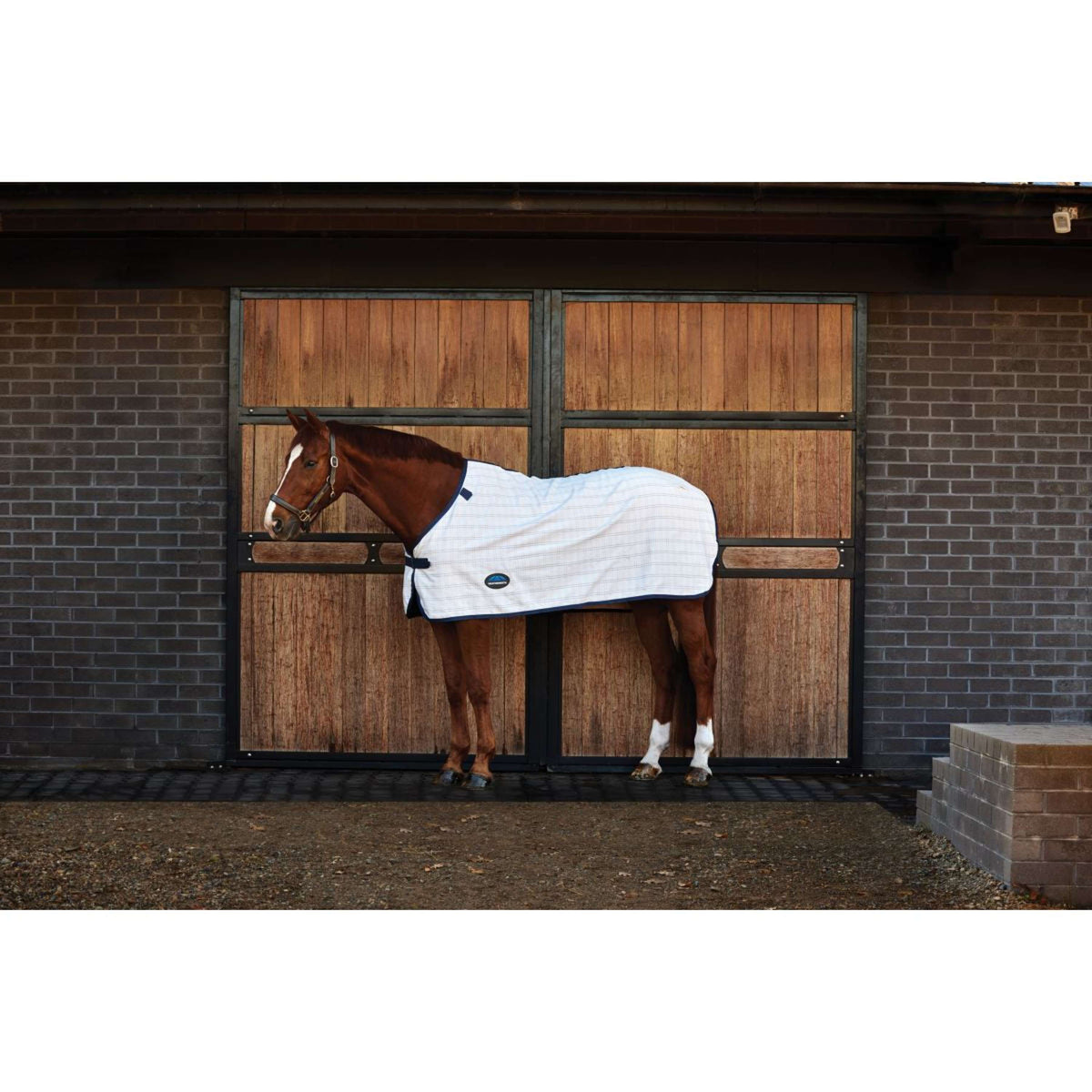 Weatherbeeta Comfitec Cotton Sheet liner Blanco/Azul Marino