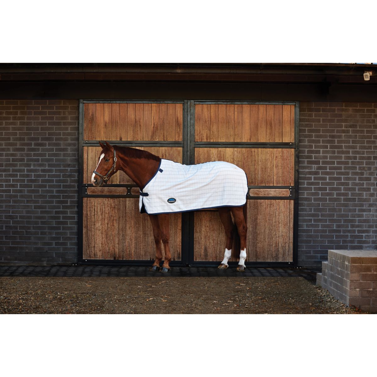 Weatherbeeta Comfitec Cotton Sheet liner Blanco/Azul Marino