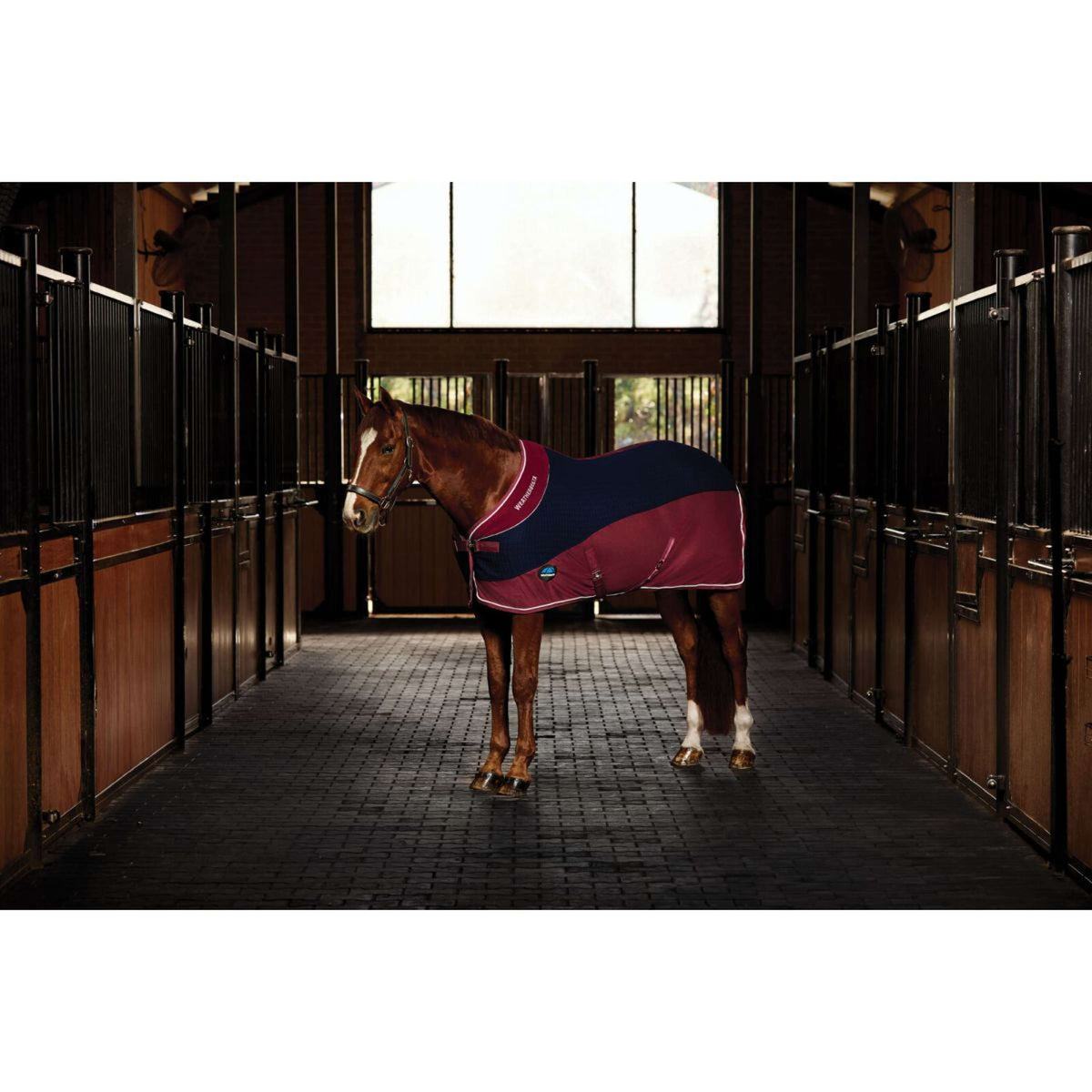 Weatherbeeta Manta de Forro Polar Thermo-Air Standard Neck Navy/Burgundy