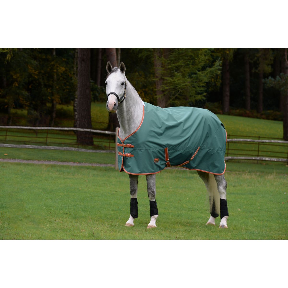 Weatherbeeta Manta de Invierno Comfitec Tyro Standard Neck Lite Plus Green/Burnt Orange/White