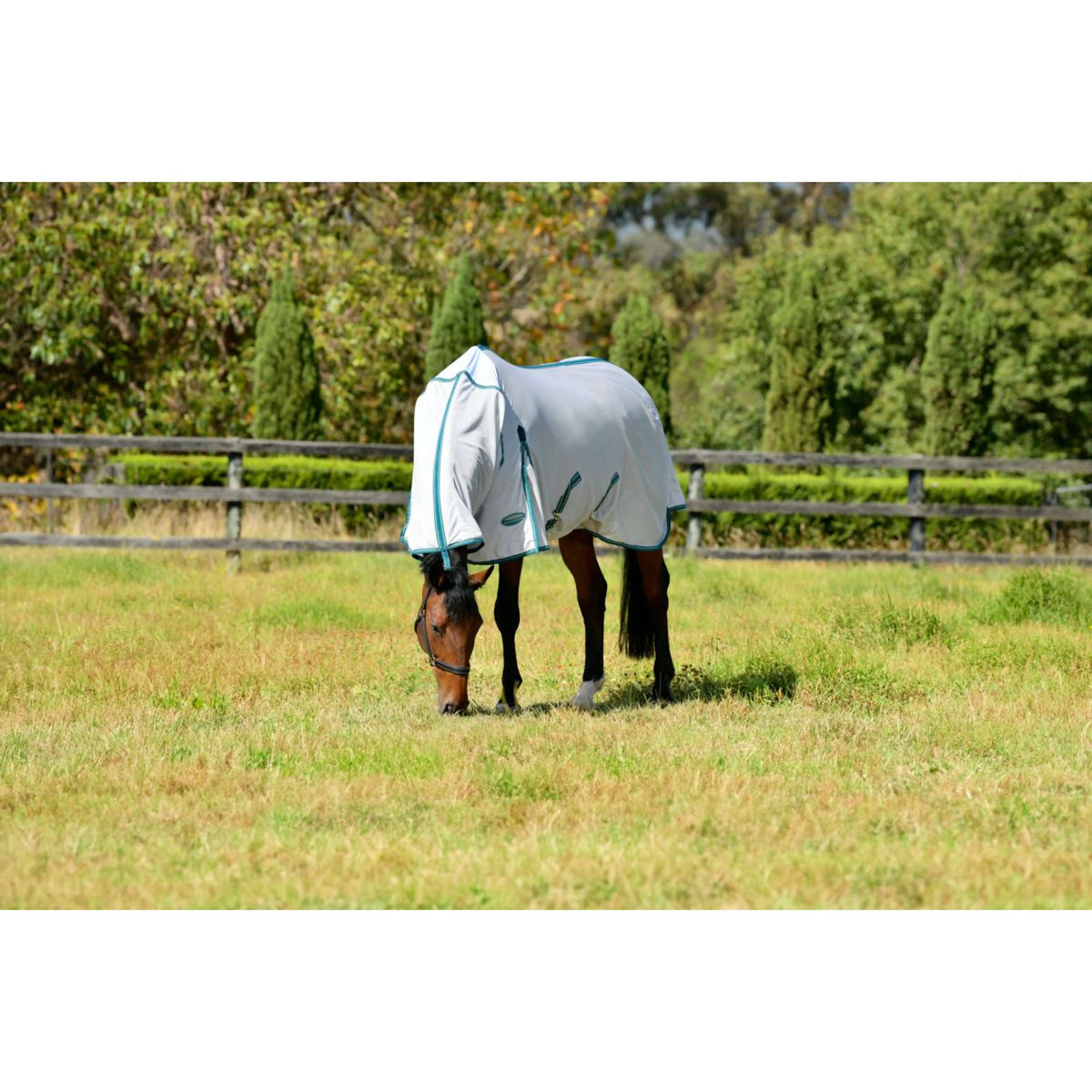 WeatherBeeta Manta Antimoscas ComFiTec Zephyr Plus Mesh Combo Neck Silver/Teal Green/Stone