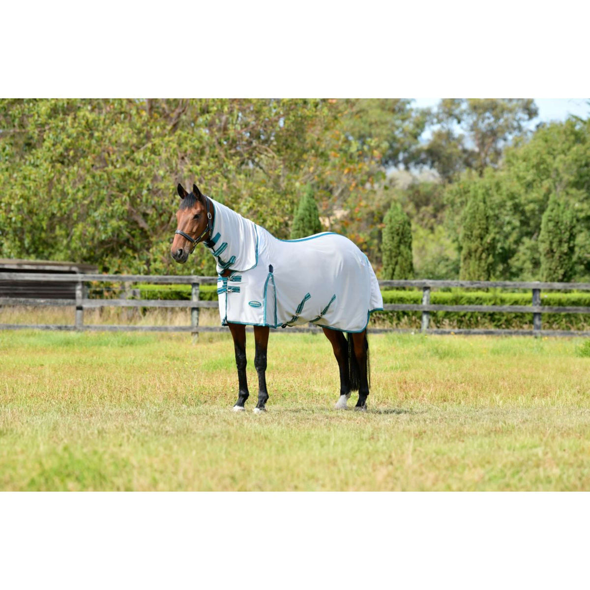 WeatherBeeta Manta Antimoscas ComFiTec Zephyr Plus Mesh Combo Neck Silver/Teal Green/Stone