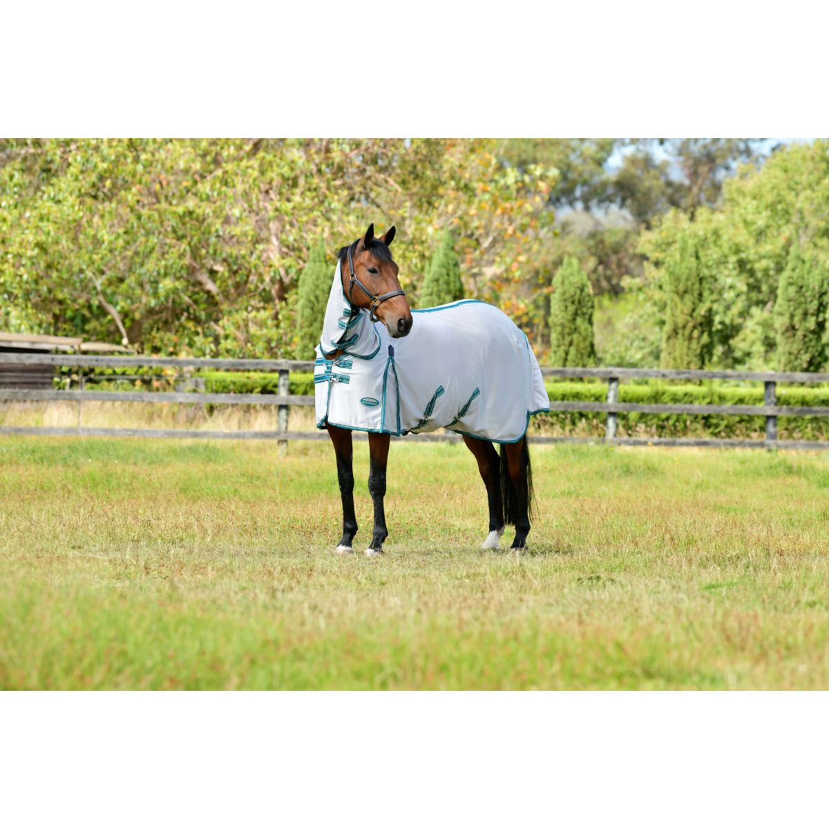 WeatherBeeta Manta Antimoscas ComFiTec Zephyr Plus Mesh Combo Neck Silver/Teal Green/Stone