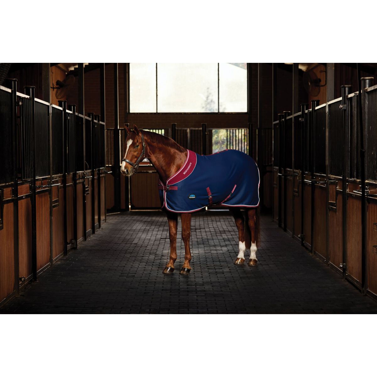 Weatherbeeta Manta de exhibición Opulence Standard Neck Navy/Burgundy