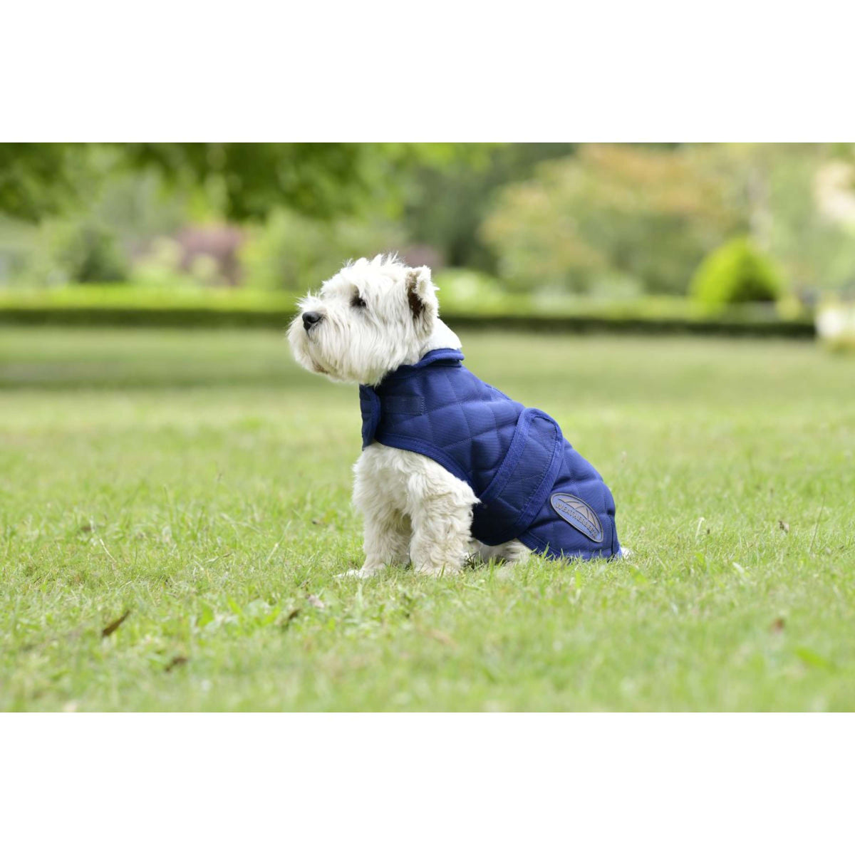 Weatherbeeta Manta para Perros Comfitec Deluxe Diamond Quilt Navy