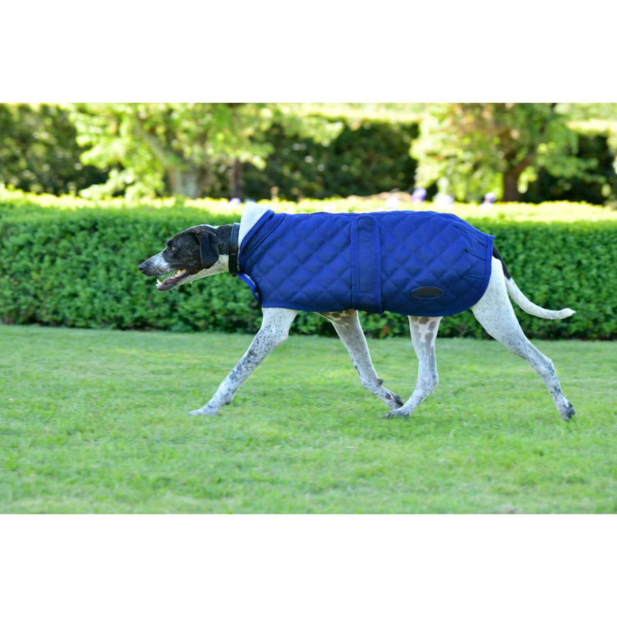 Weatherbeeta Manta para Perros Comfitec Deluxe Diamond Quilt Navy