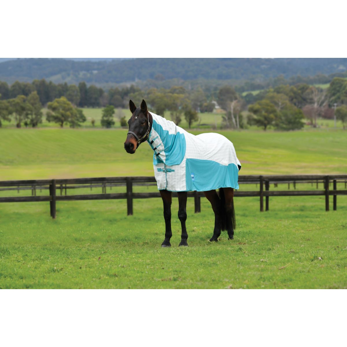 WeatherBeeta Cooler Cotton Airstream II Detach-A-Neck Blanco/Menta