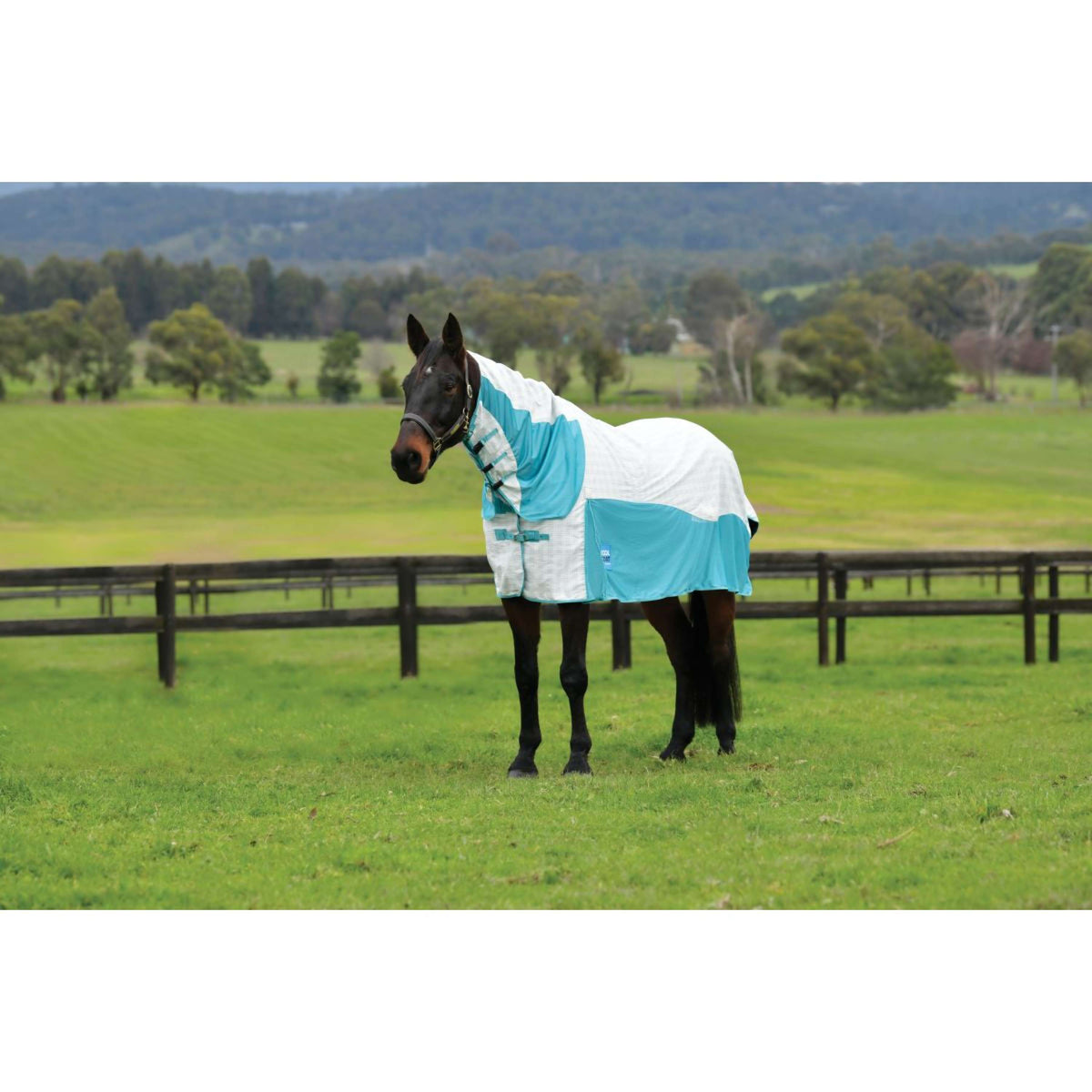 WeatherBeeta Cooler Cotton Airstream II Detach-A-Neck Blanco/Menta