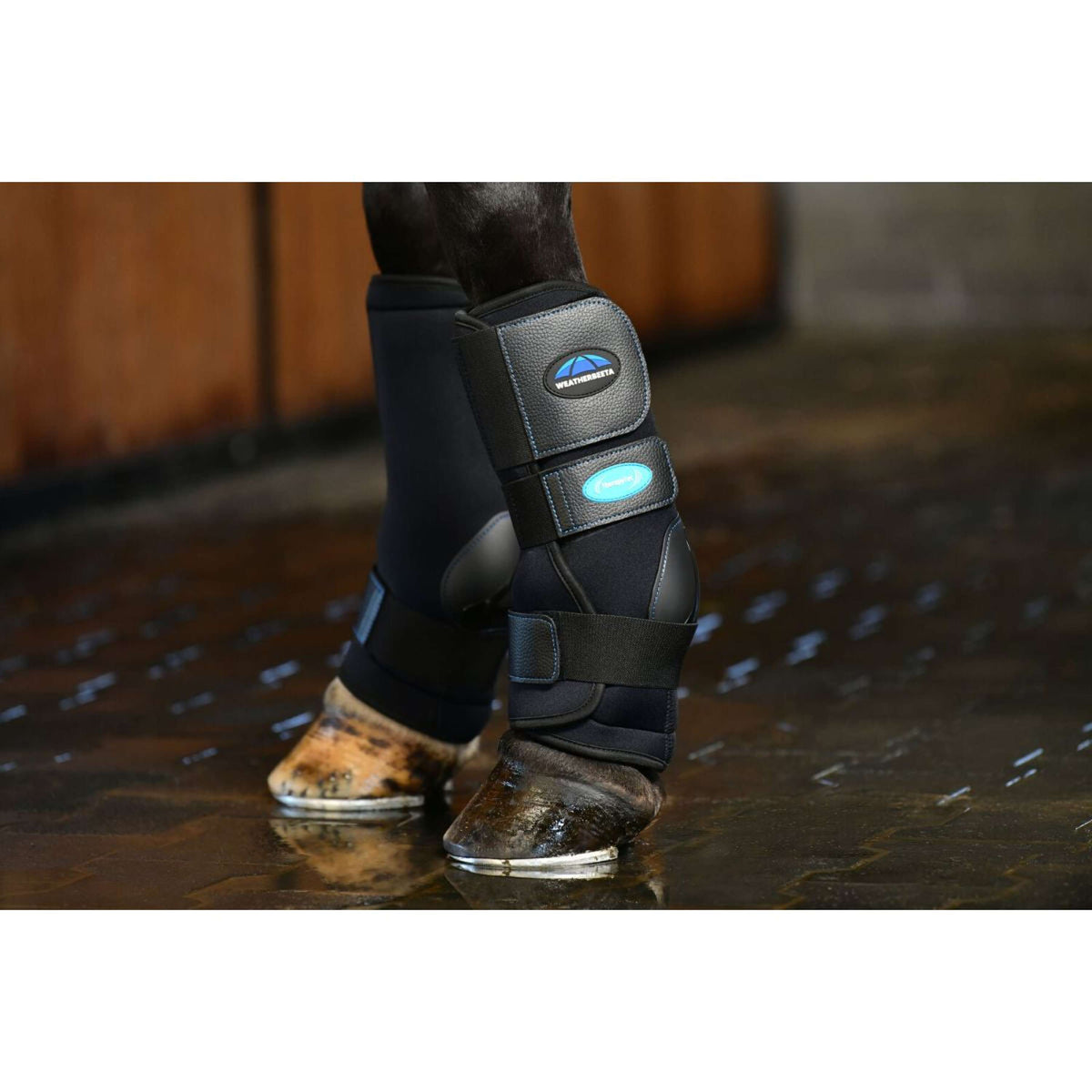 Weatherbeeta Ice Boots Therapy-Tec II Ultra Cool Negro