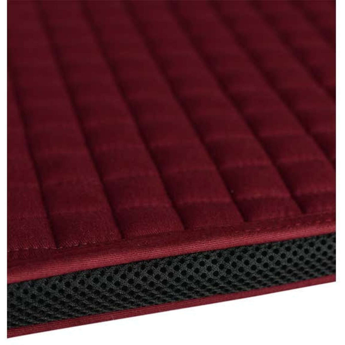 Weatherbeeta Mantilla Prime Air-Tec saltando Burdeos