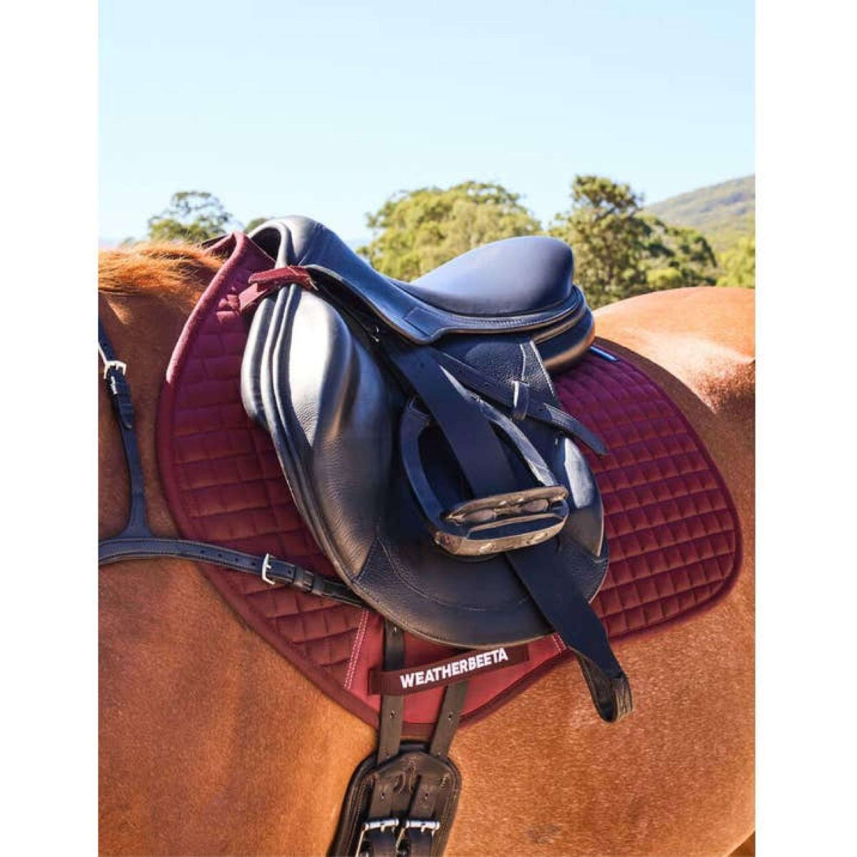Weatherbeeta Mantilla Prime Air-Tec saltando Burdeos