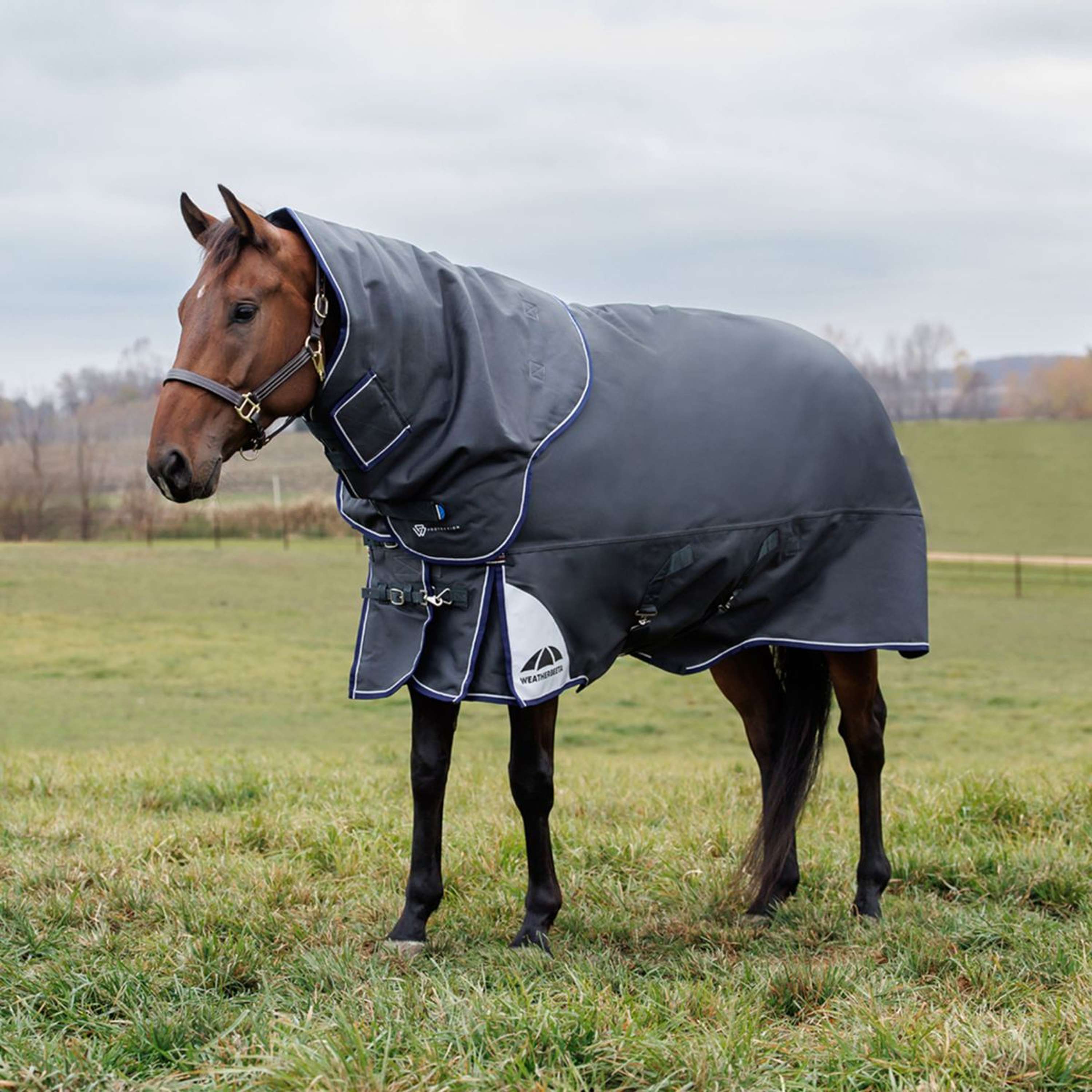 WeatherBeeta ComFiTec Ultra Turnout Detach-A-Neck 360g Carbon