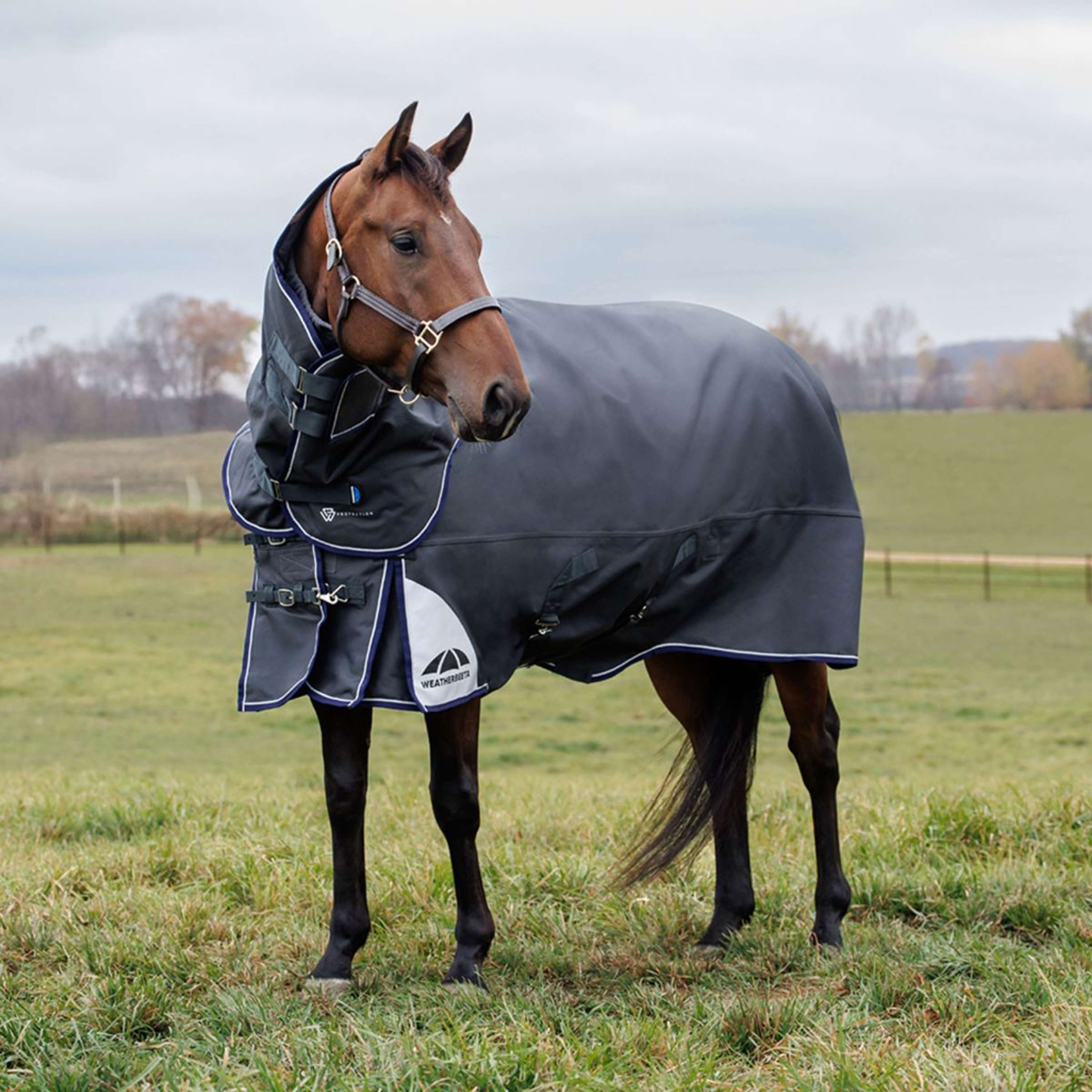 WeatherBeeta ComFiTec Ultra Turnout Detach-A-Neck 360g Carbon