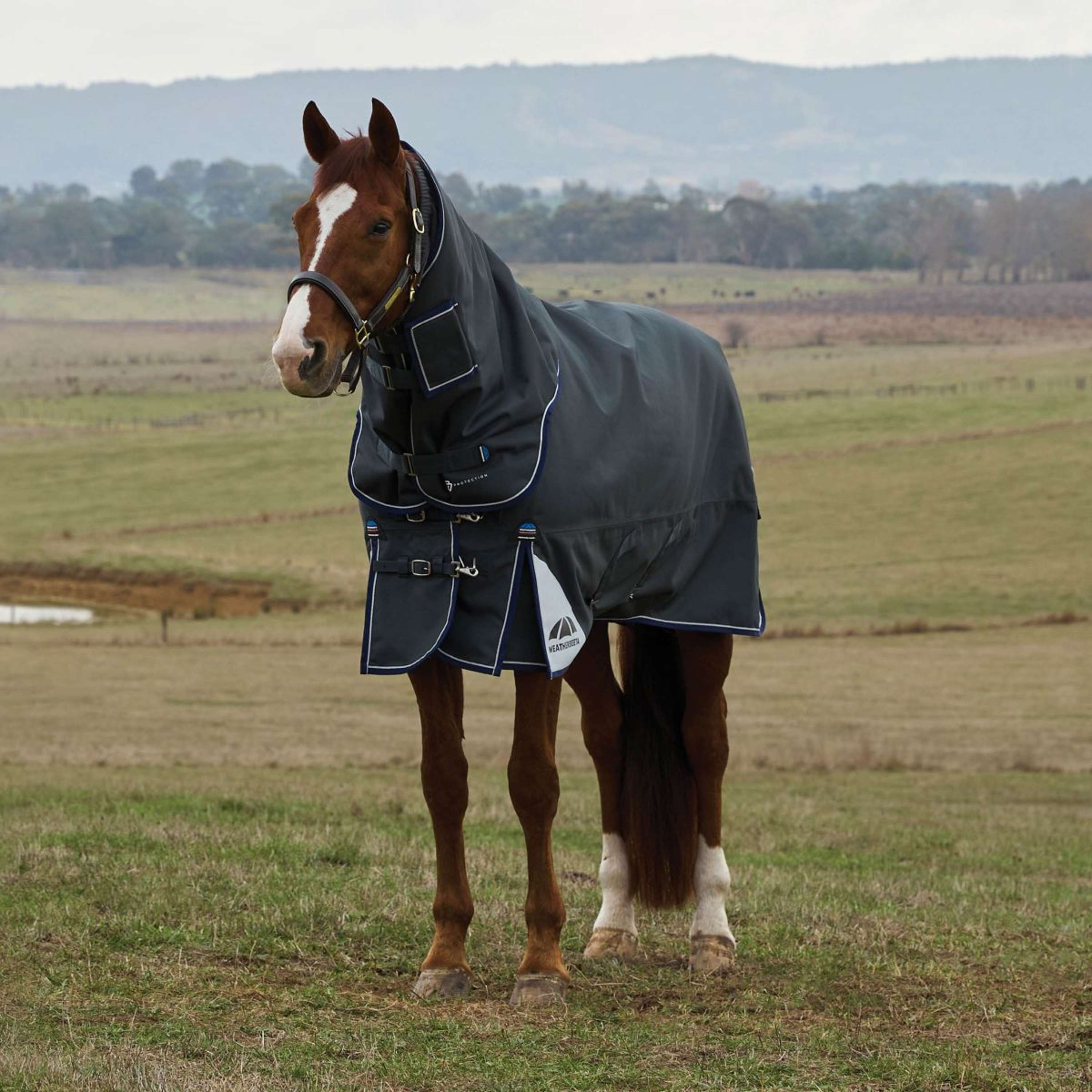 WeatherBeeta ComFiTec Ultra Turnout Detach-A-Neck 360g Carbon