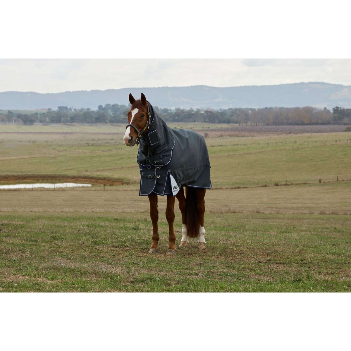 Weatherbeeta Comfitec Ultra Turnout Detach-A-Neck 100g Carbon