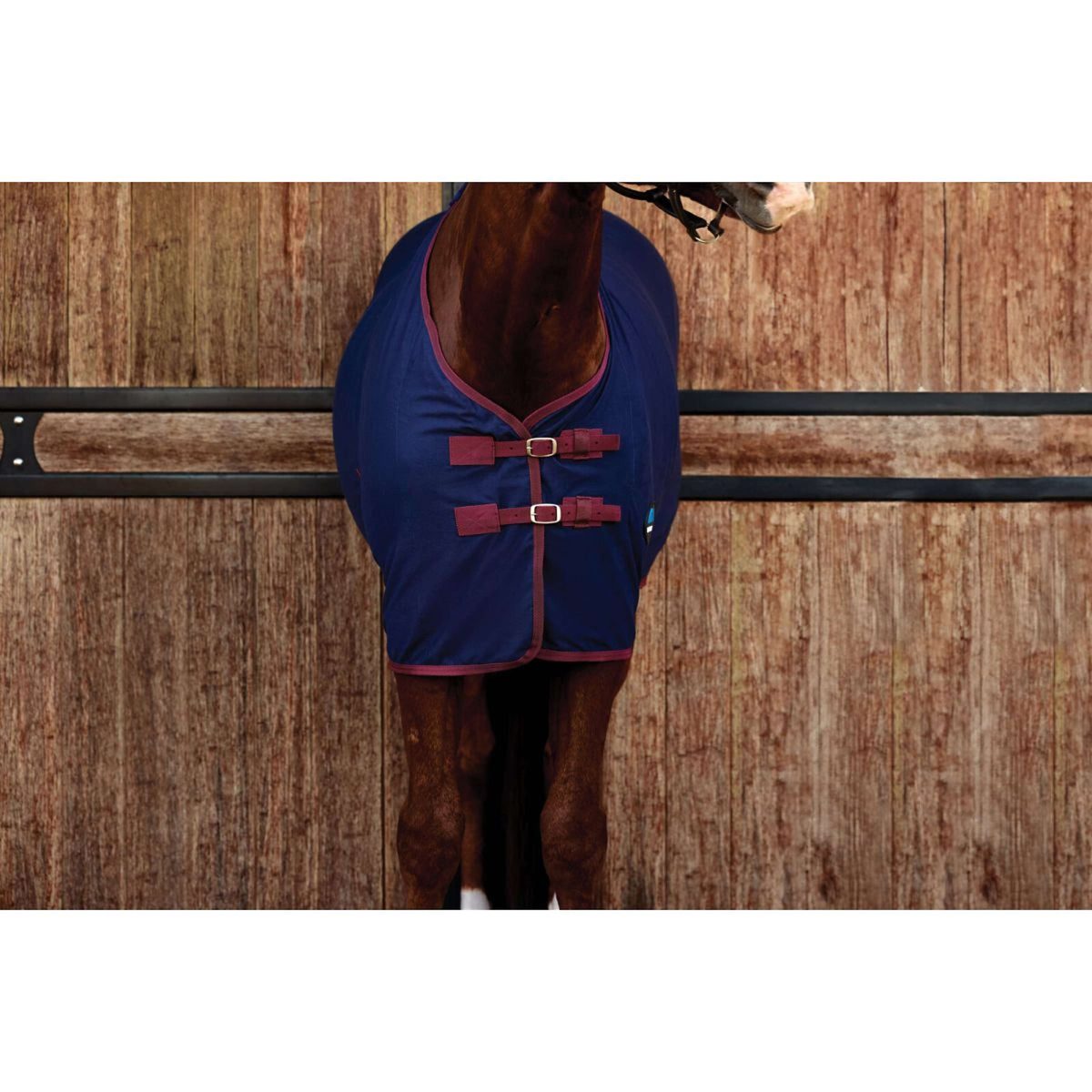 Weatherbeeta Cooler Cotton Sheet Standard Neck Navy/Burgundy