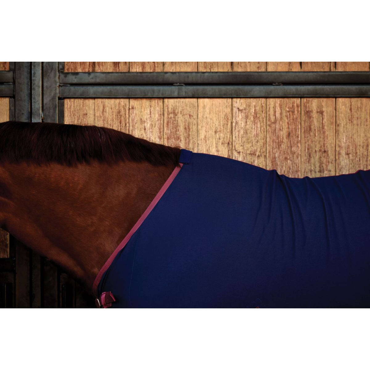 Weatherbeeta Cooler Cotton Sheet Standard Neck Navy/Burgundy