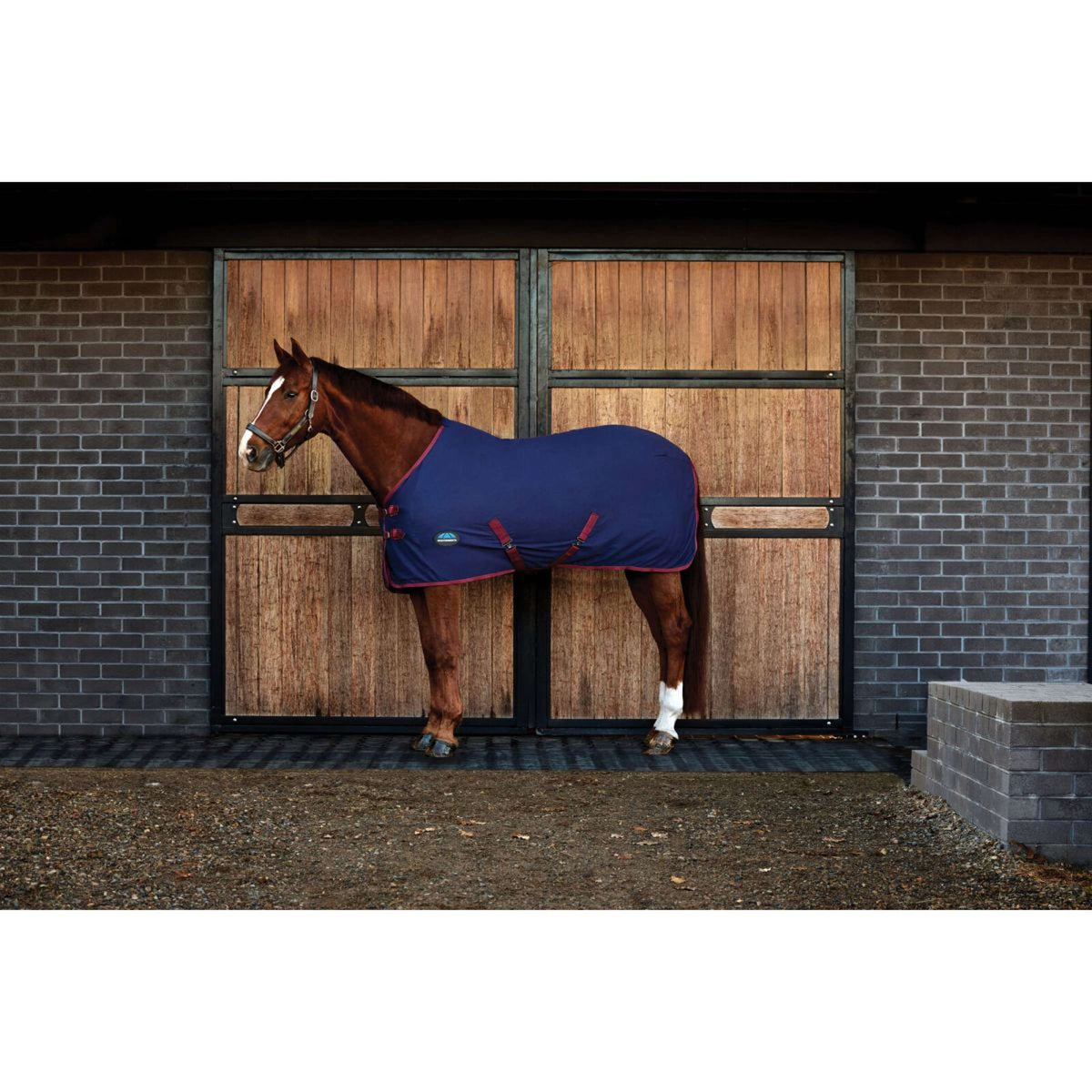 Weatherbeeta Cooler Cotton Sheet Standard Neck Navy/Burgundy