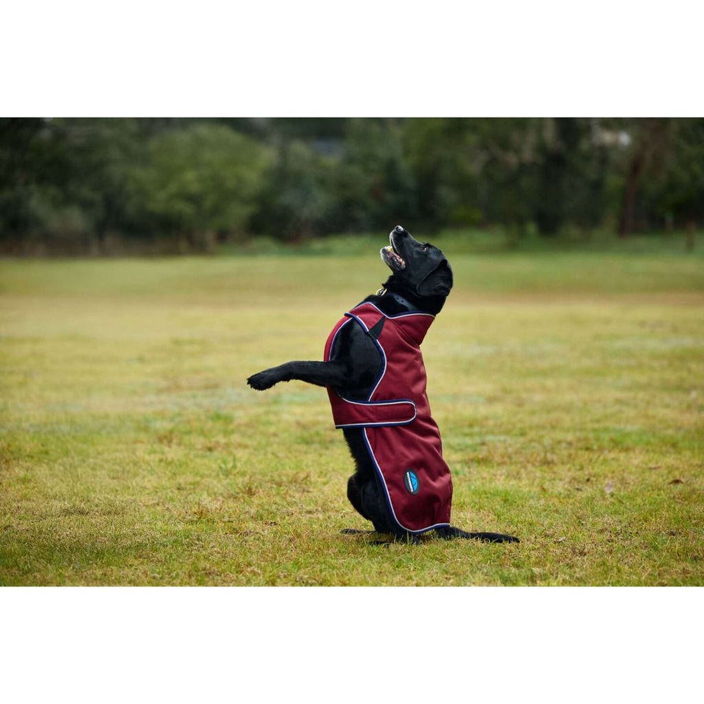 WeatherBeeta Manta para Perros ComFiTec Premier Deluxe Waterproof Burdeos/Azul Marino