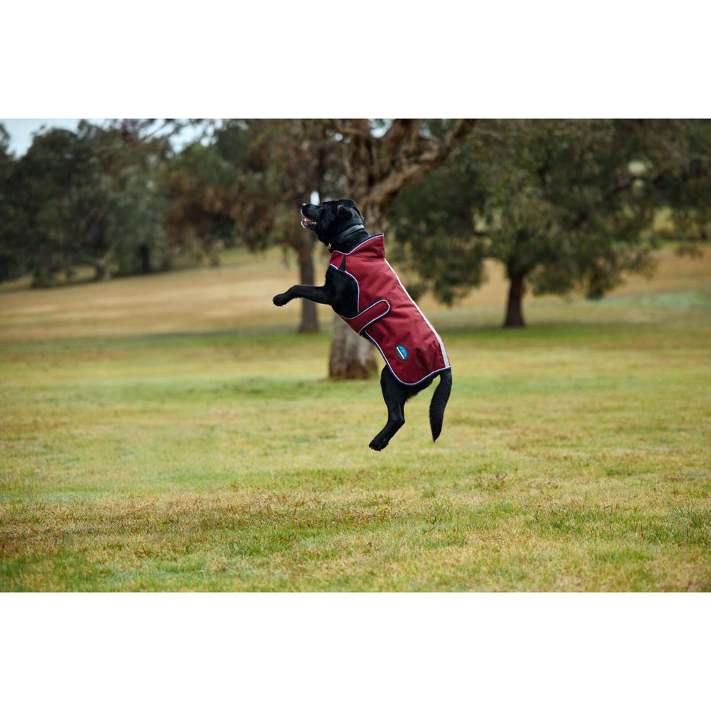WeatherBeeta Manta para Perros ComFiTec Premier Deluxe Waterproof Burdeos/Azul Marino