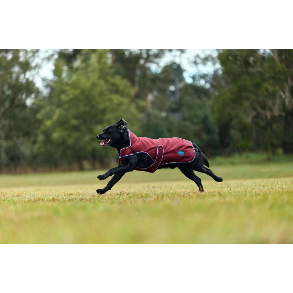 WeatherBeeta Manta para Perros ComFiTec Premier Deluxe Waterproof Burdeos/Azul Marino