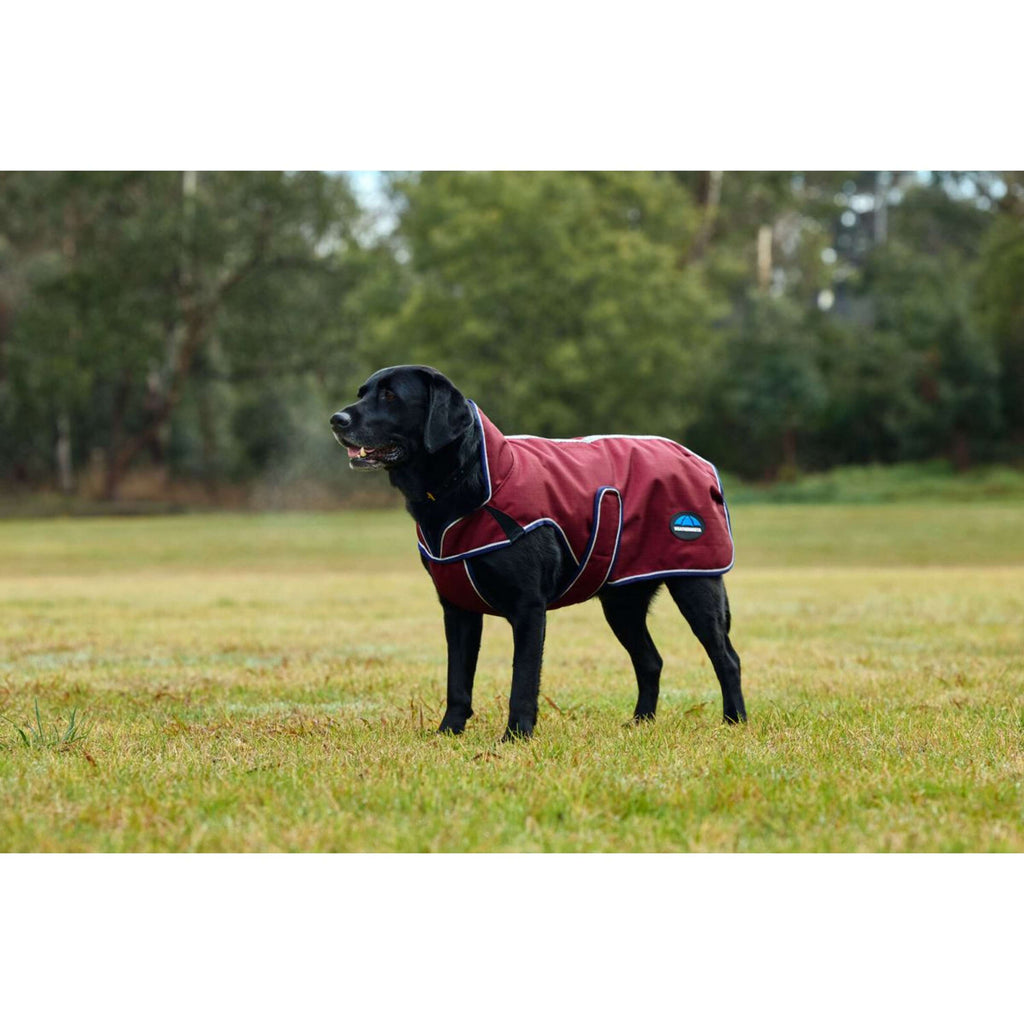 WeatherBeeta Manta para Perros ComFiTec Premier Deluxe Waterproof Burdeos/Azul Marino