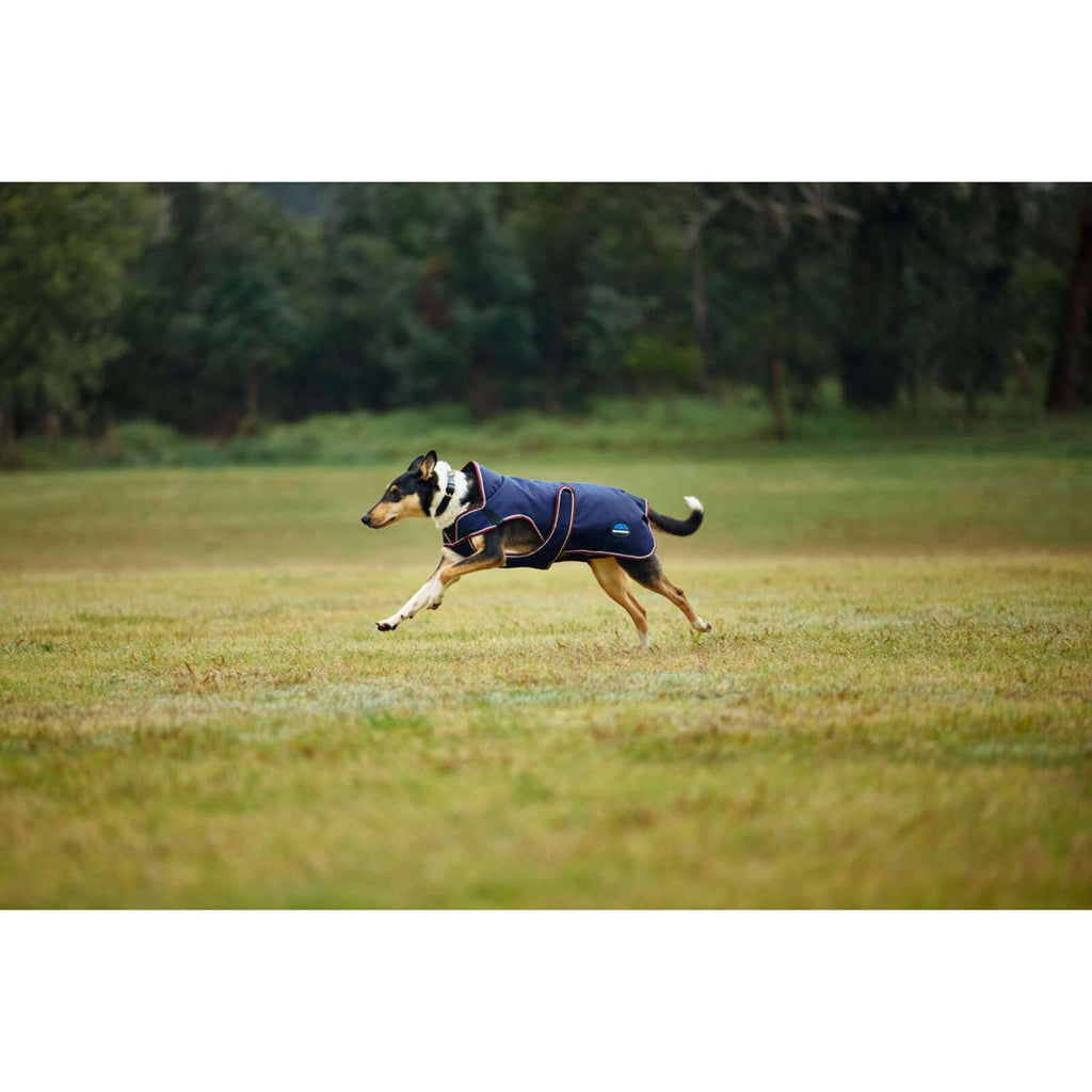 WeatherBeeta Manta para Perros ComFiTec Premier Deluxe Waterproof Navy/Burgundy