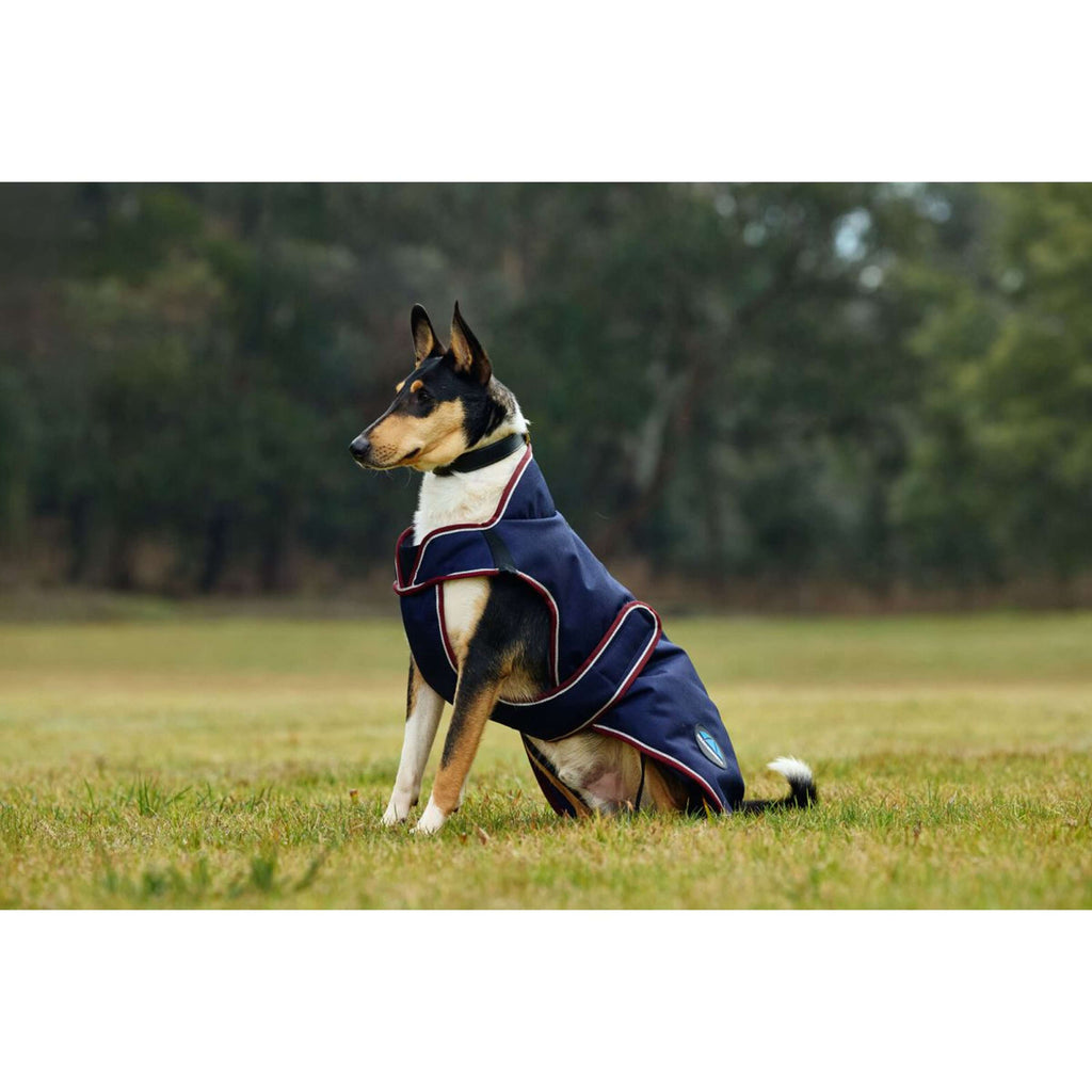 WeatherBeeta Manta para Perros ComFiTec Premier Deluxe Waterproof Navy/Burgundy