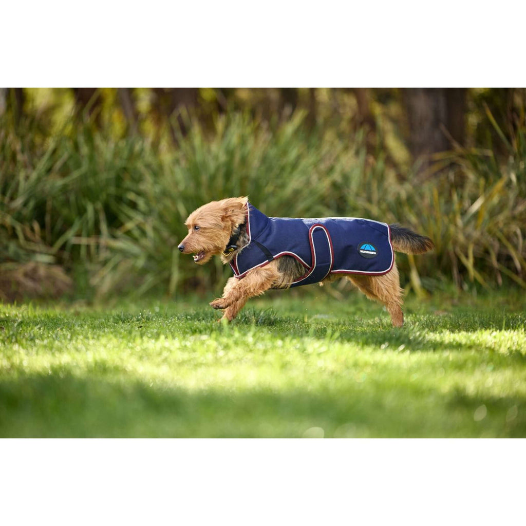 WeatherBeeta Manta para Perros ComFiTec Premier Deluxe Waterproof Navy/Burgundy
