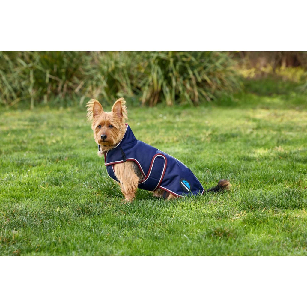 WeatherBeeta Manta para Perros ComFiTec Premier Deluxe Waterproof Navy/Burgundy