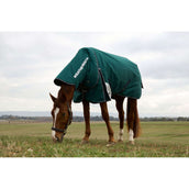 Weatherbeeta Comfitec Plus Dynamic Turnout Detach-A-Neck 0g Forest Green/Navy