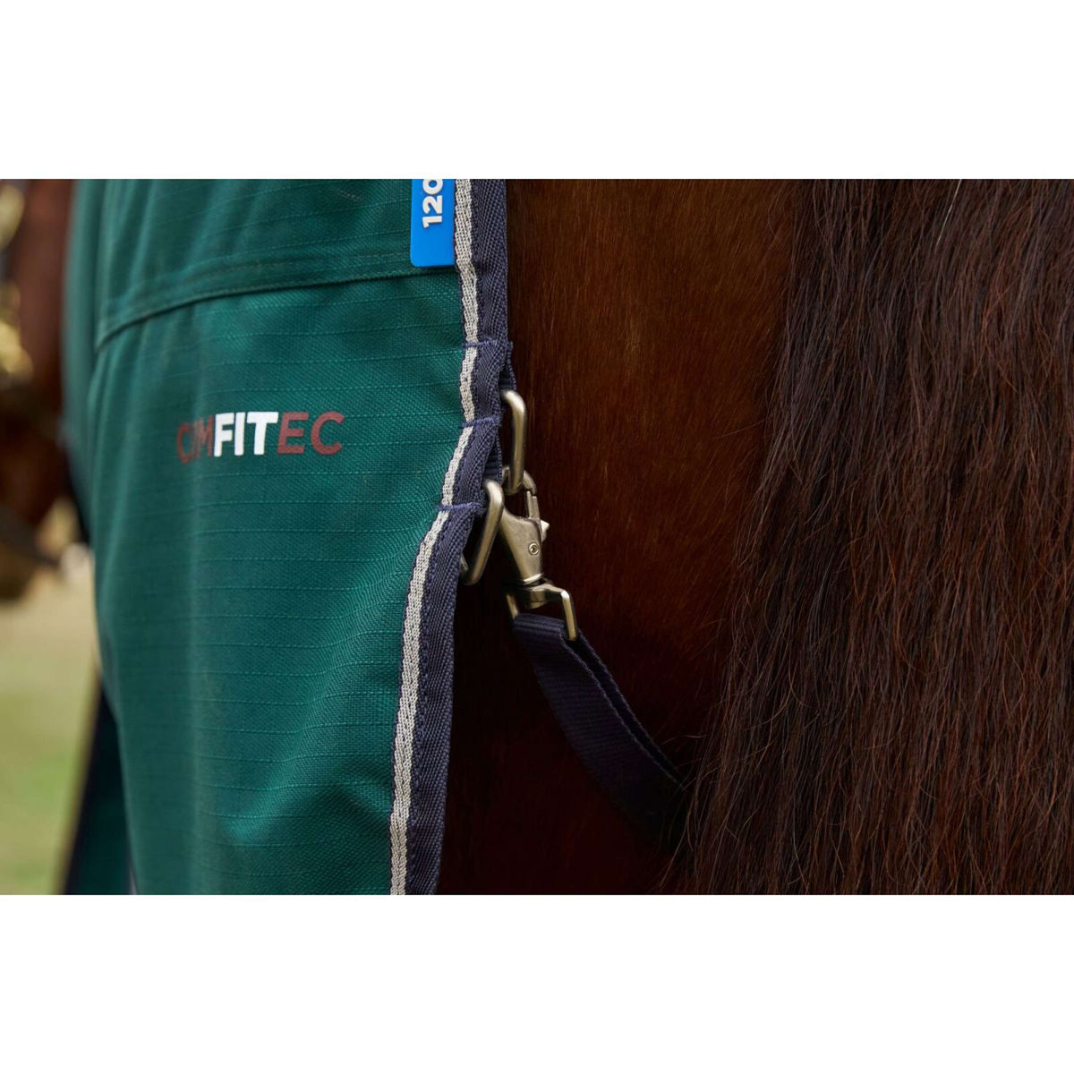 Weatherbeeta Comfitec Plus Dynamic Turnout Detach-A-Neck 0g Forest Green/Navy