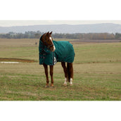 Weatherbeeta Comfitec Plus Dynamic Turnout Detach-A-Neck 0g Forest Green/Navy