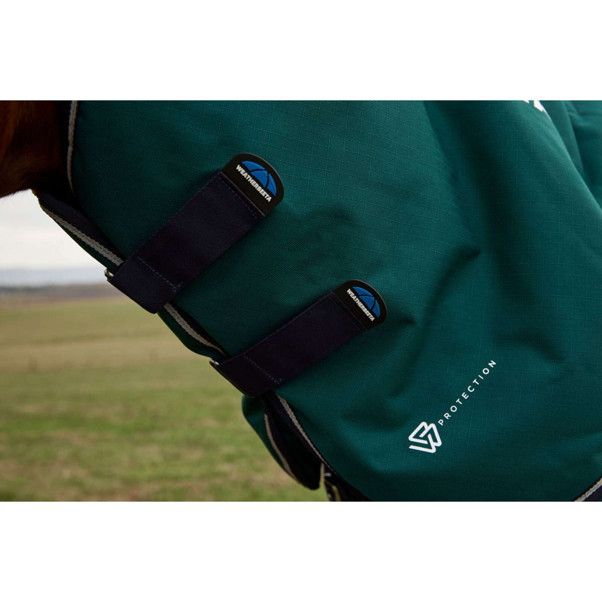 Weatherbeeta Comfitec Plus Dynamic Turnout Detach-A-Neck 0g Forest Green/Navy