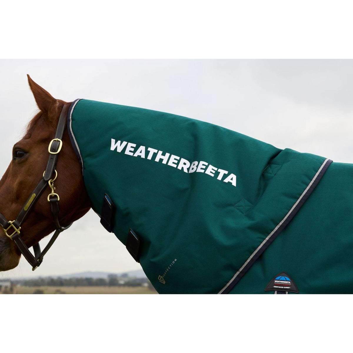 Weatherbeeta Comfitec Plus Dynamic Turnout Detach-A-Neck 0g Forest Green/Navy