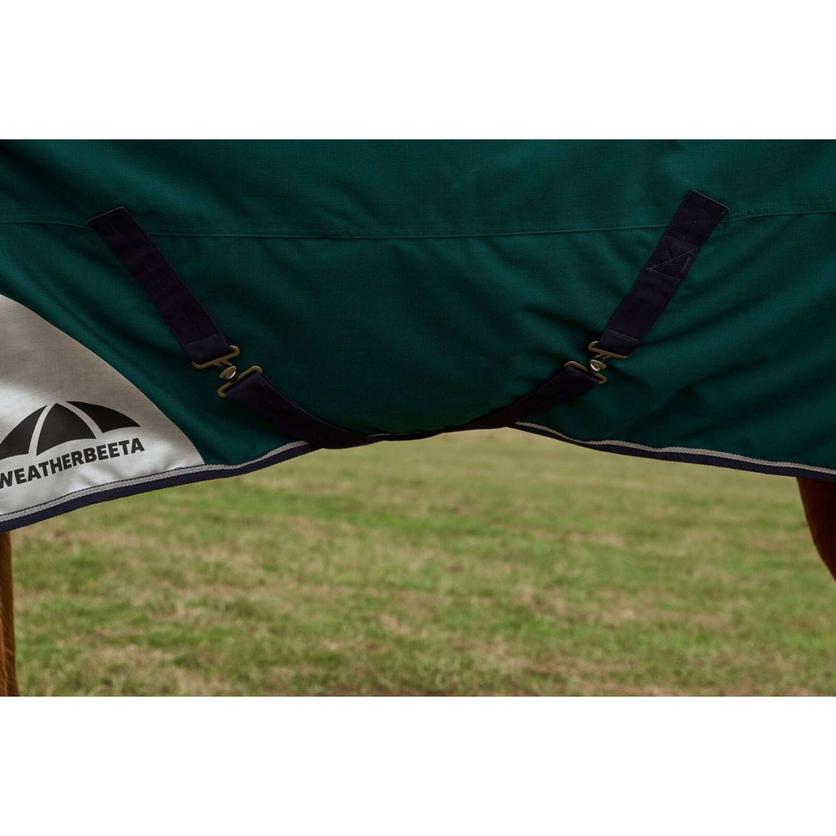 Weatherbeeta Comfitec Plus Dynamic Turnout Detach-A-Neck 0g Forest Green/Navy